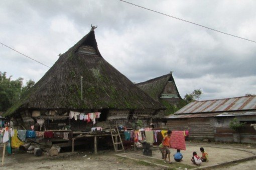 Dorp Dokan met traditionele huizen