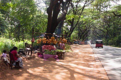 Fruitkraam tijdens de rit van Colombo naar Kithugala