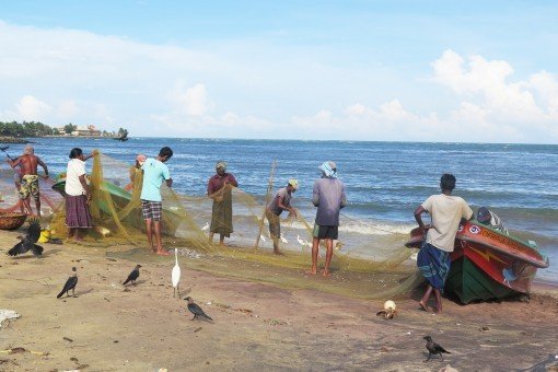 Vismarkt in Negombo, waar de vissers de vangst van de nacht binnenbrengen