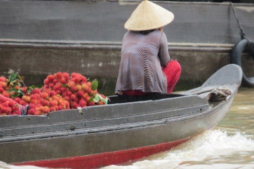 Vrouw met lychees op weg naar Cai Be-markt in Mekongdelta