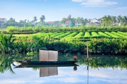 De Mekongdelta is de 'graankamer' van Vietnam