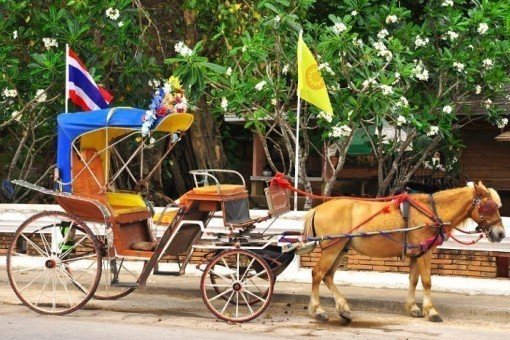 Beleef Lampang met paard en wagen