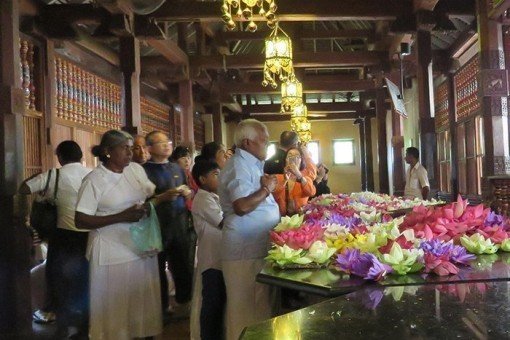 Lotusbloemen worden als offers voor Boeddha gebruikt