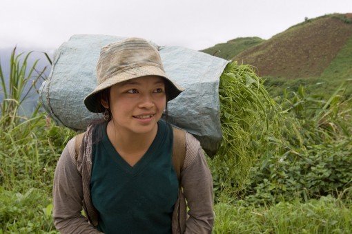 Vrouw van de Hmong-stam draagt groenten op de rug