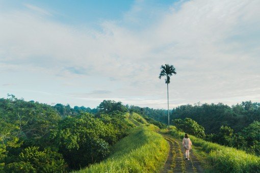 Wandeltocht in nationaal park West-Bali
