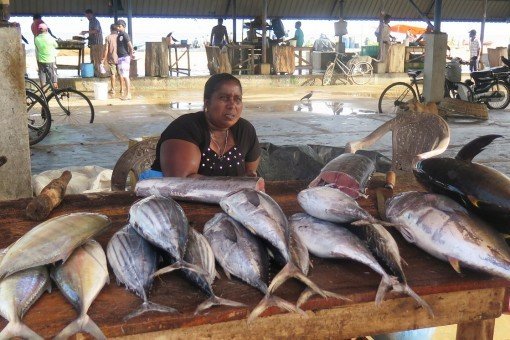 Vismarkt in Negombo
