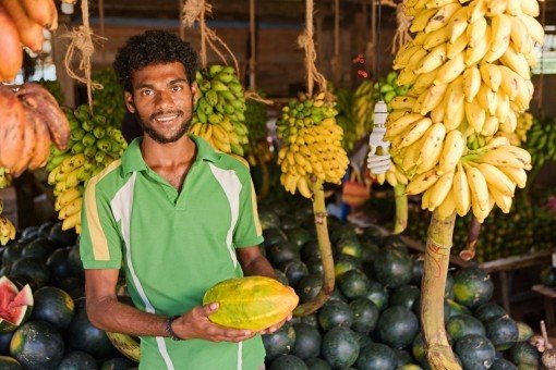 Bananenverkoper op weg van Yala naar Colombo