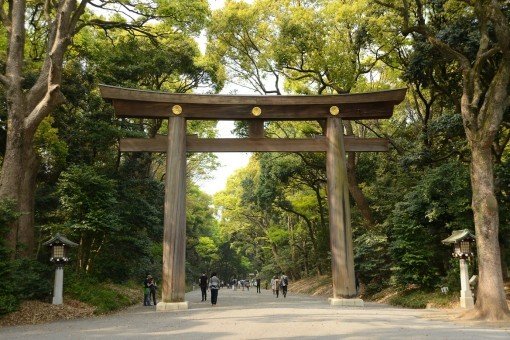 Torii-poort van het Meiji-heiligdom